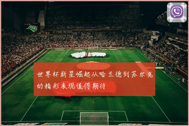 世界杯新星崛起从哈兰德到苏尔克的精彩表现值得期待